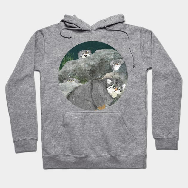 Pallas Cats Hoodie by KatherineBlowerDesigns